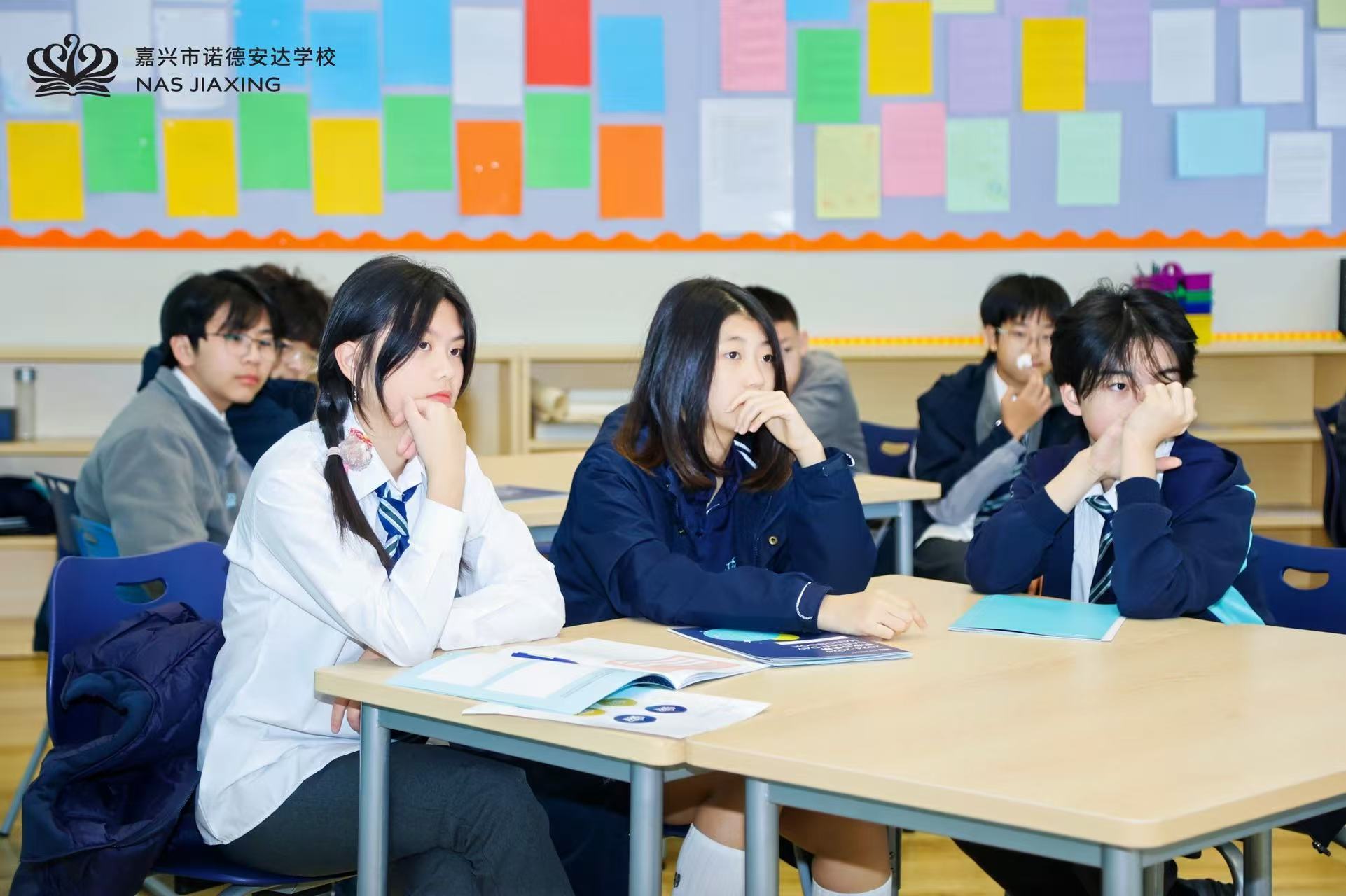 入学条件 | 嘉兴诺德安达学校 - Feature Cards Pattern