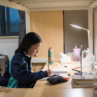 嘉兴市诺德安达学校 | 嘉兴双语学校 - 03 - Feature Cards Pattern